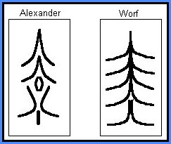 Schema della fronte di Alexander e di Worf