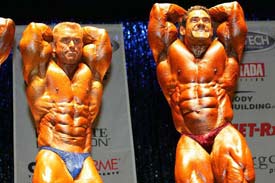 IronMan 2005